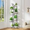 63-inch Tall Modern 6-Shelf Indoor Plant Stand Shelving Unit