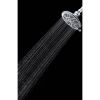 6-Setting Large Chrome Shower Head, 5.8" Face with Rub-Clean Nozzles